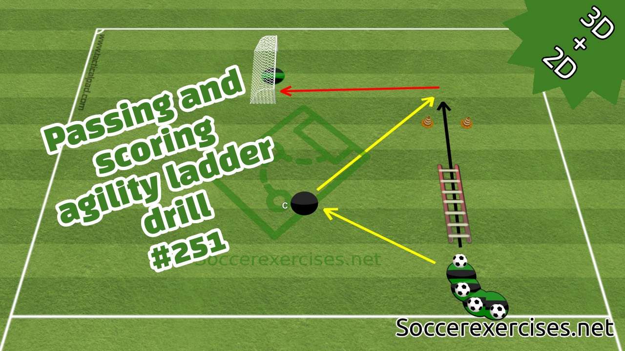 #251 Passing and scoring agility ladder drill